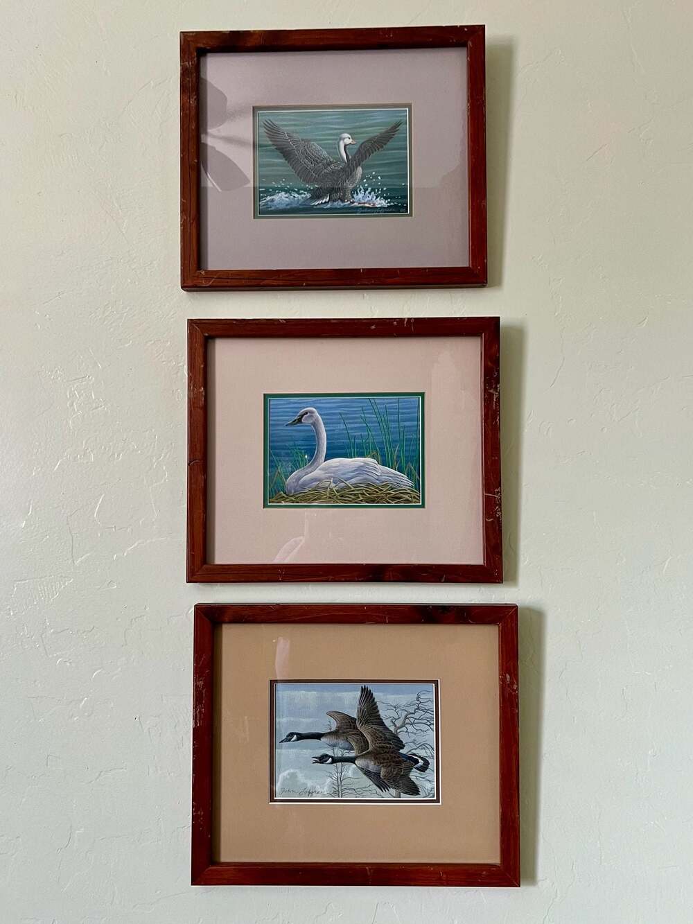 Set of 3 Vintage John Lofgreen Waterfowl Wildlife Art Prints Framed